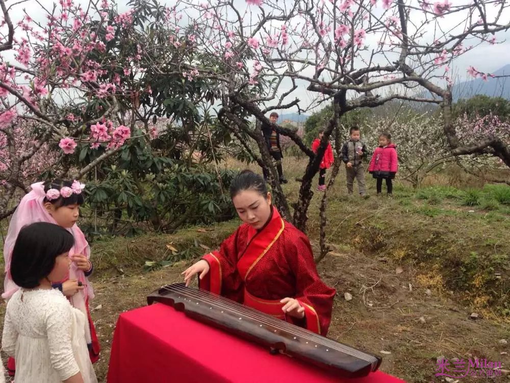 临海括苍山第七届桃花观赏节全案活动策划执行台州开业庆典，演出策划，活动策划，新品发布，开工仪式，奠基仪式策划，礼仪模特，舞蹈杂技，年会策划，晚会策划