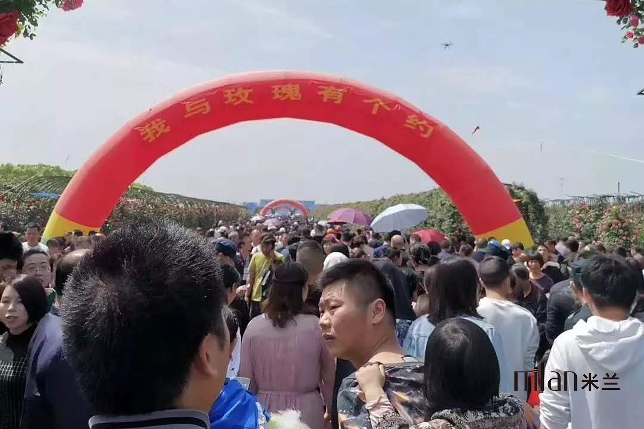 台州拱门出租，红色拱门 气球出租